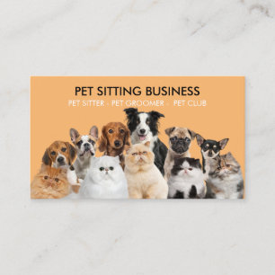 Oranje Funny Photo Pet Dogs Cats Visitekaartje