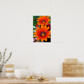 Oranje-Gazania African Daisies Summer Flower Poster (Keuken)