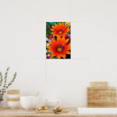Oranje-Gazania African Daisies Summer Flower Poster (Keuken)