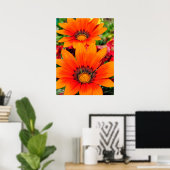 Oranje-Gazania African Daisies Summer Flower Poster (Thuiskantoor)
