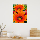 Oranje-Gazania African Daisies Summer Flower Poster (Keuken)