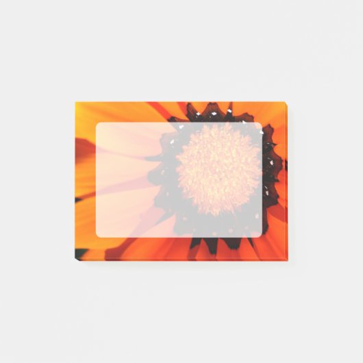 Oranje Gazania Post-it® Notes (Voorkant)
