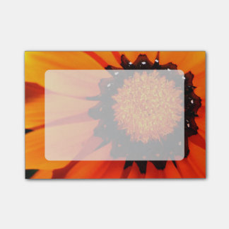 Oranje Gazania Post-it® Notes