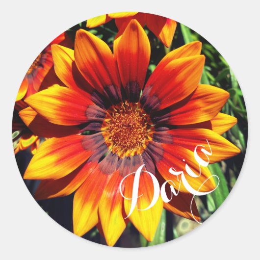 Oranje Gazania stickers voor aangepaste namen (Voorkant)