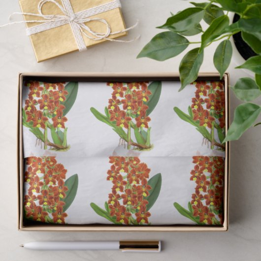 Oranje Geel Exotisch Orchidevloer Tissuepapier (Geschenk)