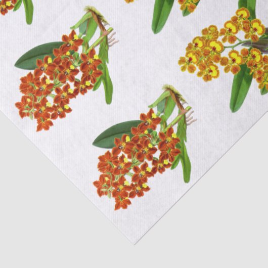  Oranje Geel Exotisch Orchidevloer Tissuepapier (Detail)