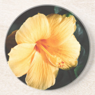 Oranje geel Hibiscus Bloem Onderzetter