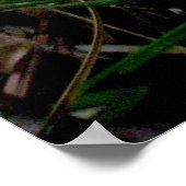 Oranje Geel Paddenstoelkolonie OBX-Poster Poster (Hoek)