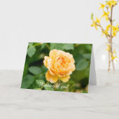 Oranje geel roos denken aan je kaart (Gele Bloem)