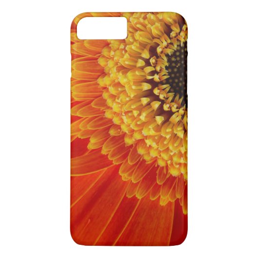 Oranje Geel Sun Bloem Foto Afbeelding Case-Mate iPhone Case (Achterkant)