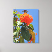 Oranje geigerboom canvas afdruk (Voorkant)