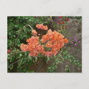Oranje gekleurde bloemen briefkaart