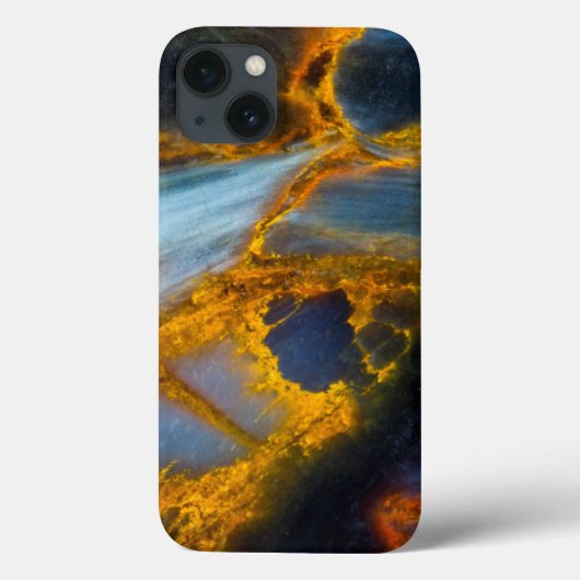 Oranje gelakte Pietersiet Case-Mate iPhone Case (Achterkant)