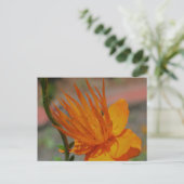 Oranje Gele Bloem Fotografie Briefkaart (Staand voorkant)