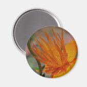 Oranje Gele Bloem Fotografie Magneet (Voorkant / Achterkant)