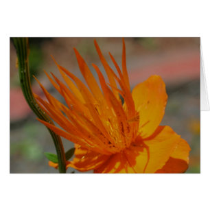 Oranje gele fotografische kaart