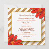 Oranje gele roodbruinenkruid kaart (Achterkant)