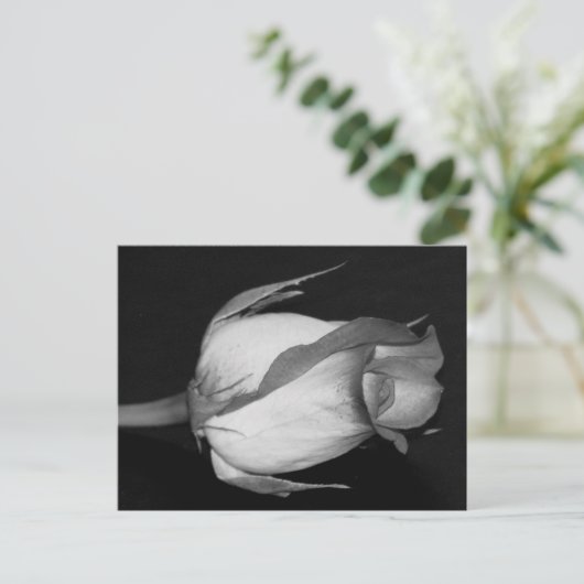 Oranje-gele Rose Briefkaart (Staand voorkant)