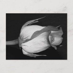 Oranje-gele Rose Briefkaart