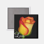 Oranje-gele Rose Magneet (Voorkant / Achterkant)