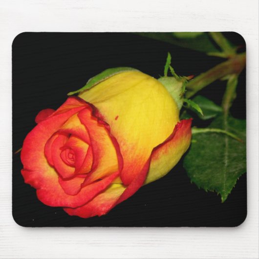 Oranje-gele Rose Muismat (Voorkant)