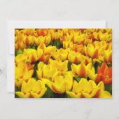 Oranje gele tulpen Weddenschap Kaart (Achterkant)