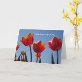 Oranje gele Tulps Sympathiekaart Kaart (Gele Bloem)