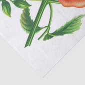  Oranje gele ventilatorontvlek Tissuepapier (Detail)