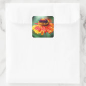 Oranje gele zinnia-bloem vierkante sticker (Tas)