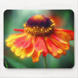 Oranje gele Zinnia Daisy Flower Muismat