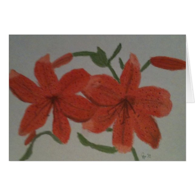 Oranje gelilies (Voorkant Horizontaal)
