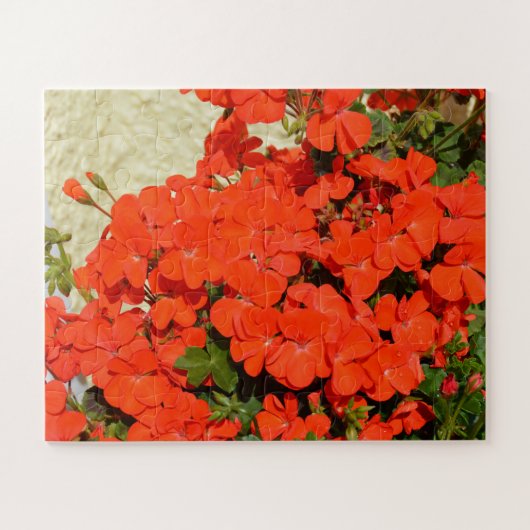 Oranje geraniumbloemen legpuzzel (Horizontaal)