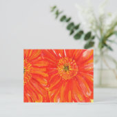 Oranje Gerber Briefkaarten (Staand voorkant)