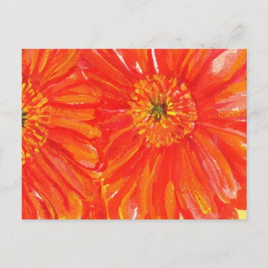 Oranje Gerber Briefkaarten (Voorkant)