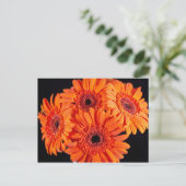Oranje Gerber Daisies Aankondigingskaart (Staand voorkant)