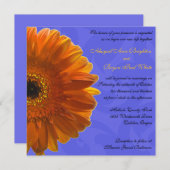 Oranje Gerber Daisy Blue Wedding Uitnodiging (Voorkant / Achterkant)