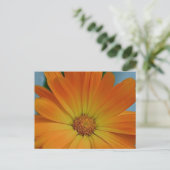 Oranje Gerber Daisy Briefkaart (Staand voorkant)