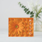 Oranje Gerber Daisy Briefkaart (Staand voorkant)