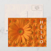 Oranje Gerber Daisy Briefkaart (Voorkant / Achterkant)