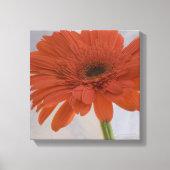 Oranje Gerber Daisy Flower Canvas Afdruk (Voorkant)