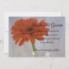Oranje Gerber Daisy in Vase Wedding Save the Date Kaart
