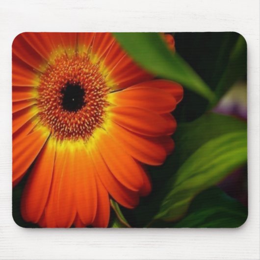Oranje Gerber Daisy Muismat (Voorkant)