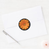 Oranje Gerber Daisy Ronde Sticker (Envelop)