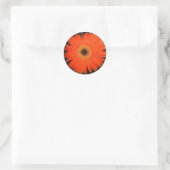 Oranje Gerber Daisy Ronde Sticker (Tas)