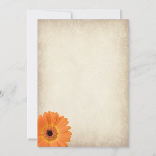 Oranje Gerber Daisy Rustic Country Wedding Invites Kaart (Achterkant)