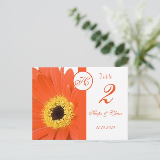Oranje Gerber Daisy Table Number Kaarten (Staand voorkant)
