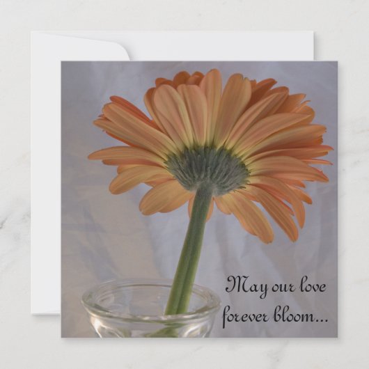 Oranje Gerber Daisy Wedding Kaart (Voorkant)