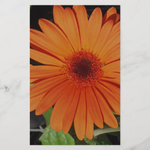 Oranje Gerber gerbera Daisy daisie Briefpapier