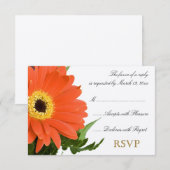 Oranje Gerber Wedding RSVP Kaartje (Voorkant / Achterkant)