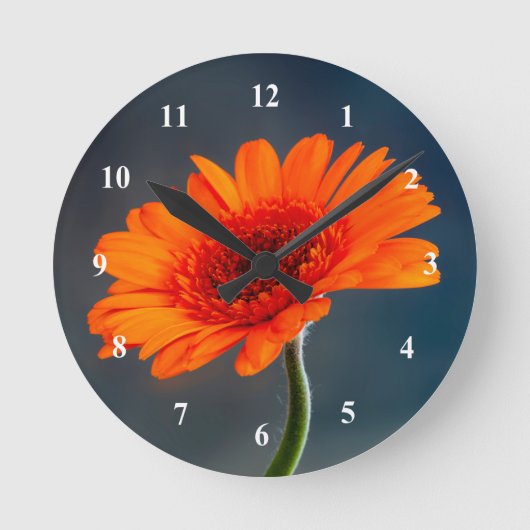 Oranje Gerbera Acrylmuurklok Ronde Klok (Voorkant)